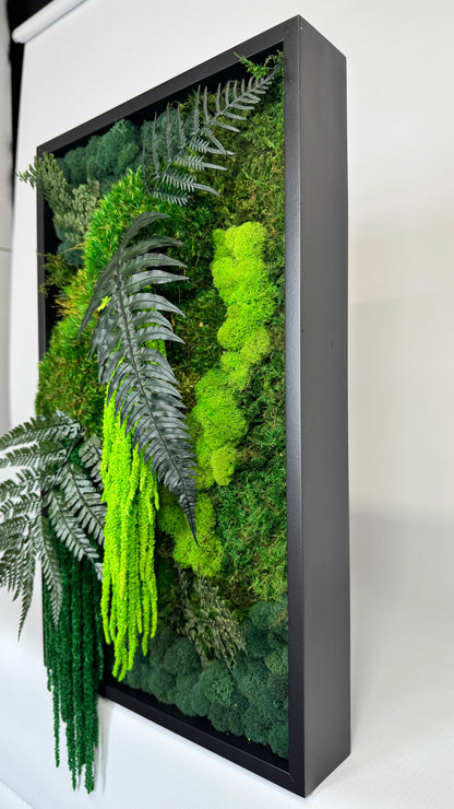 Rainforest Botanical Garden Mini