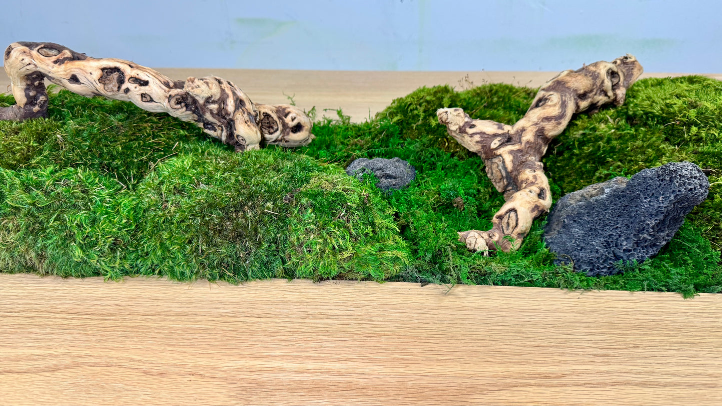 Isla Coffee Table