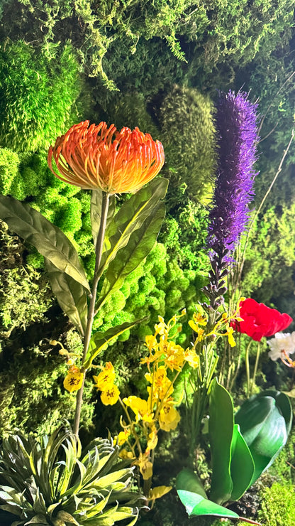 Eternal Spring
