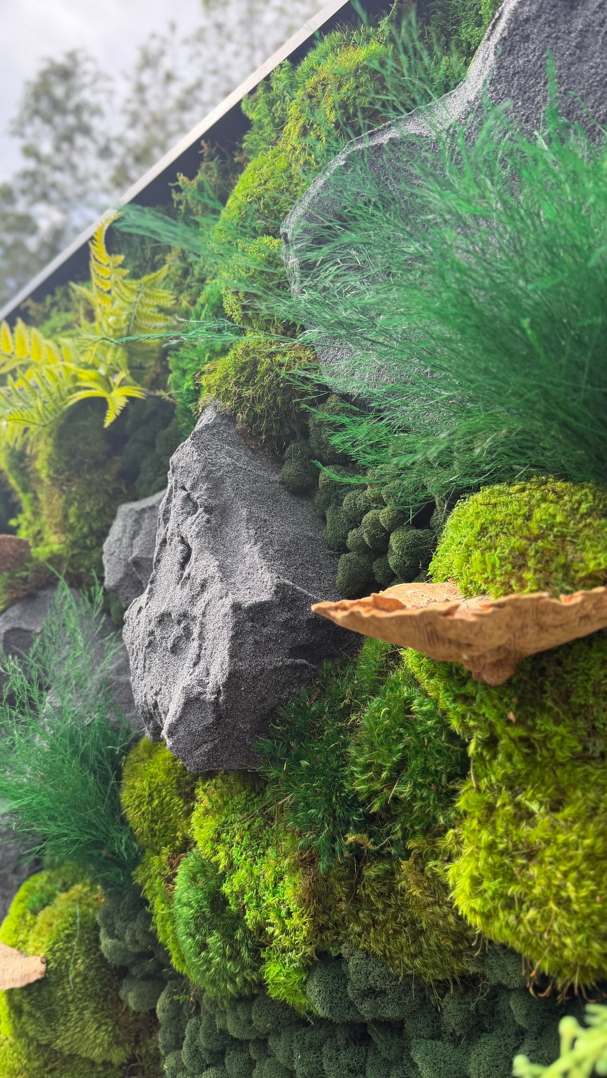 Stone River