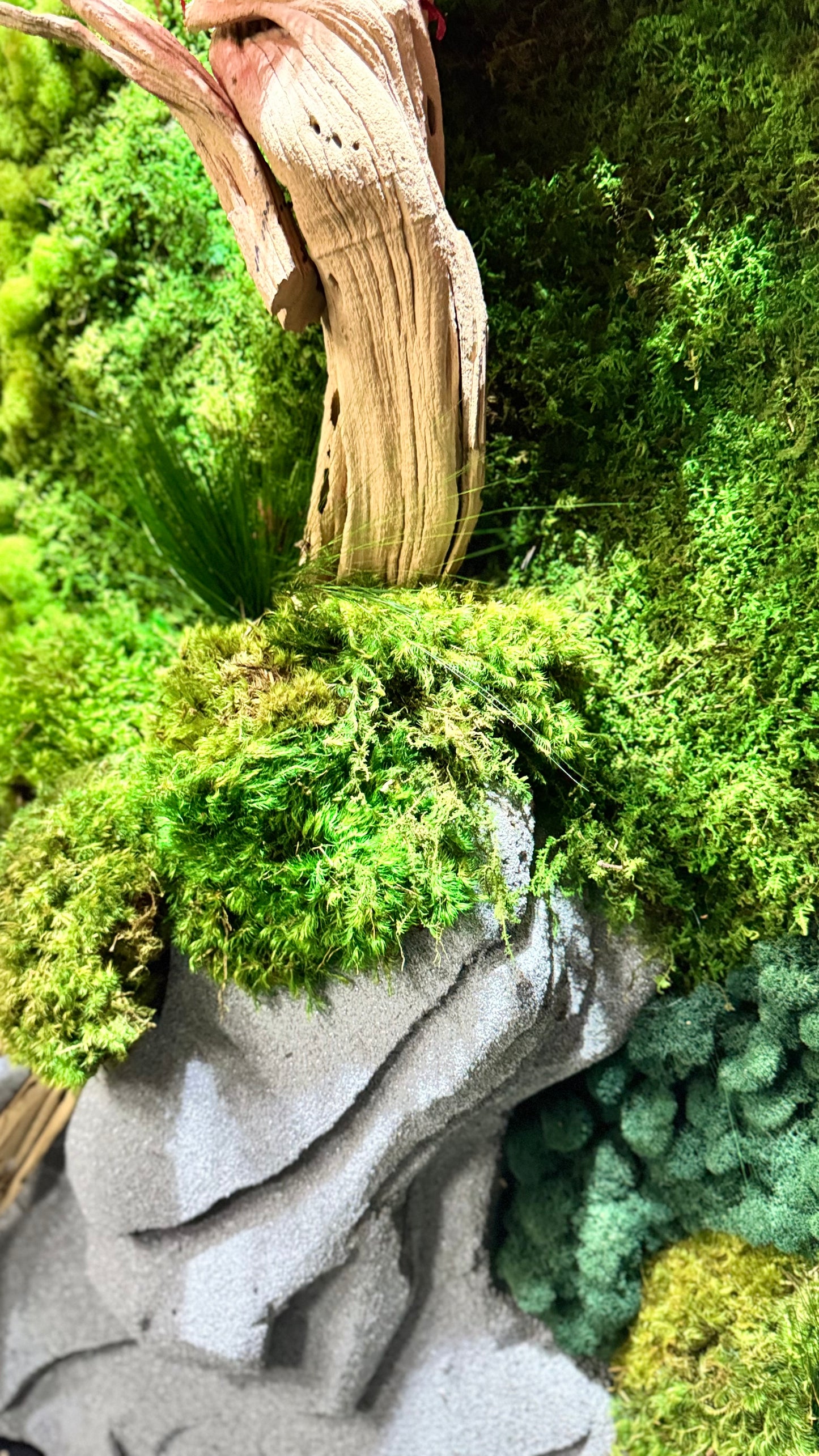 The Zen Garden