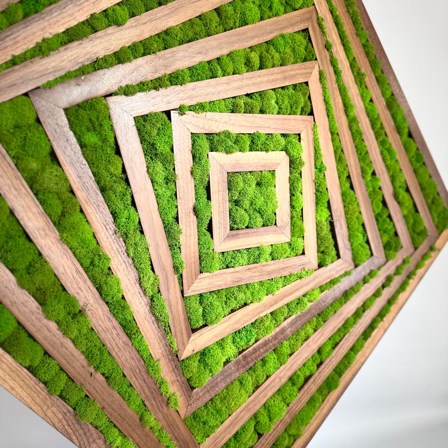Fibonacci Moss Wall Art Moss wall art by Moss Art Installations