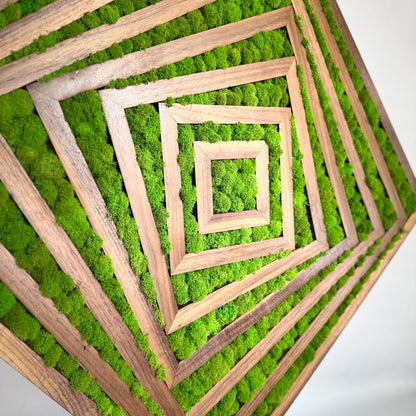 Fibonacci Moss Wall Art Moss wall art by Moss Art Installations