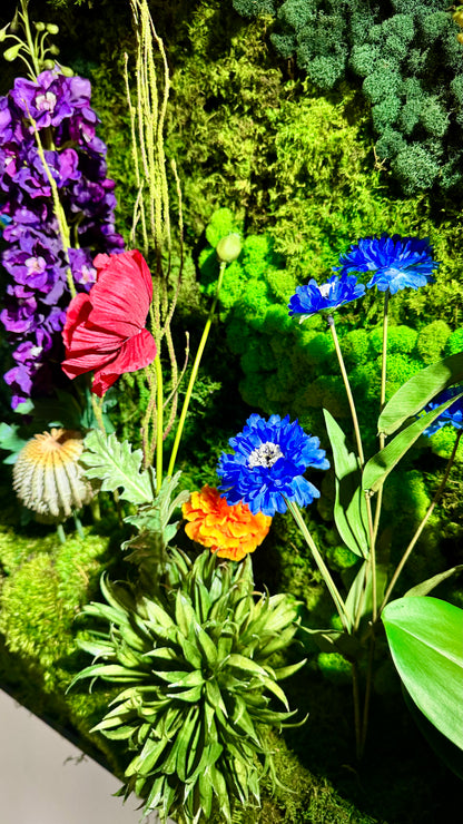 Eternal Spring