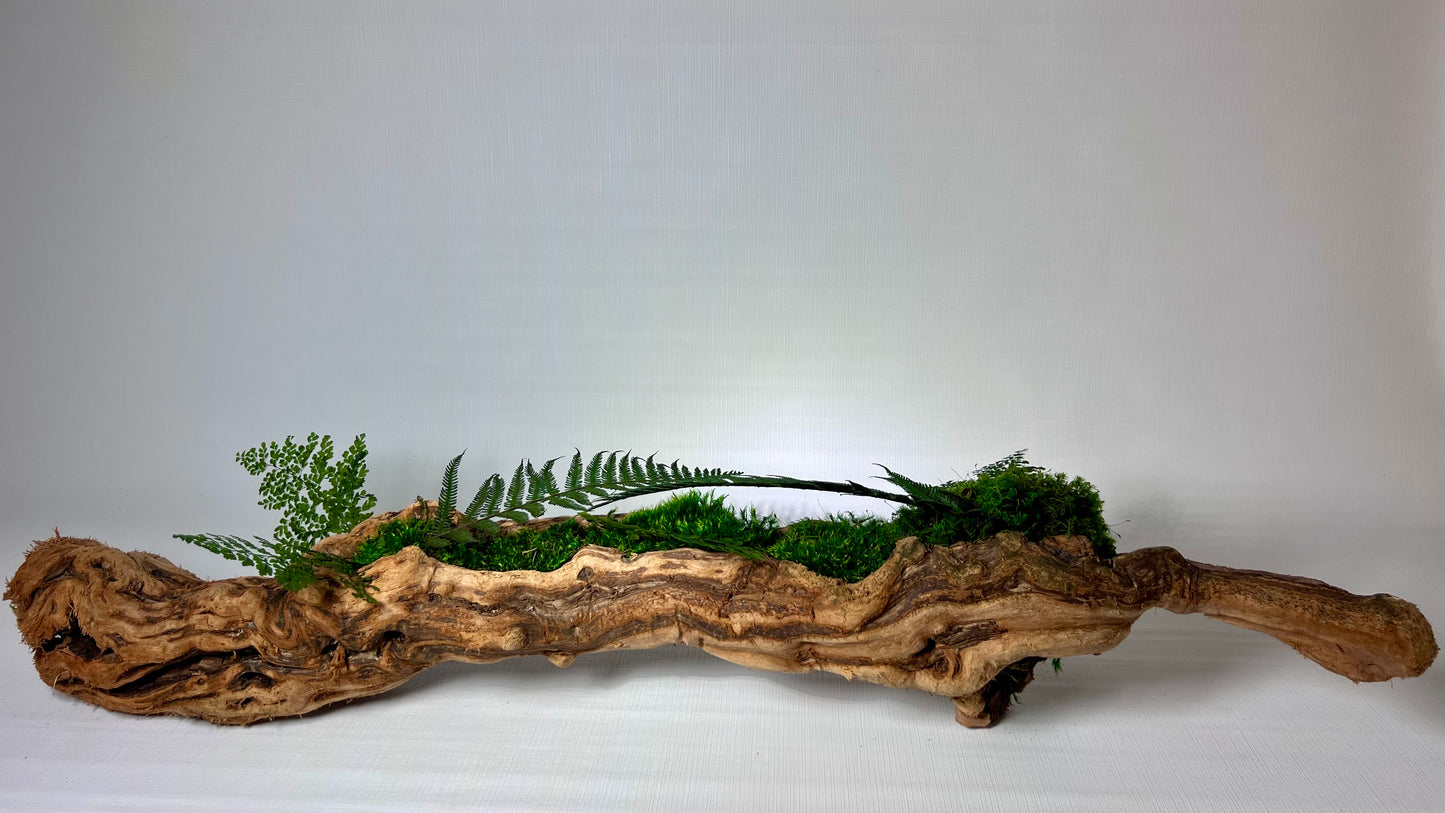 Twisted Grapewood Center Piece