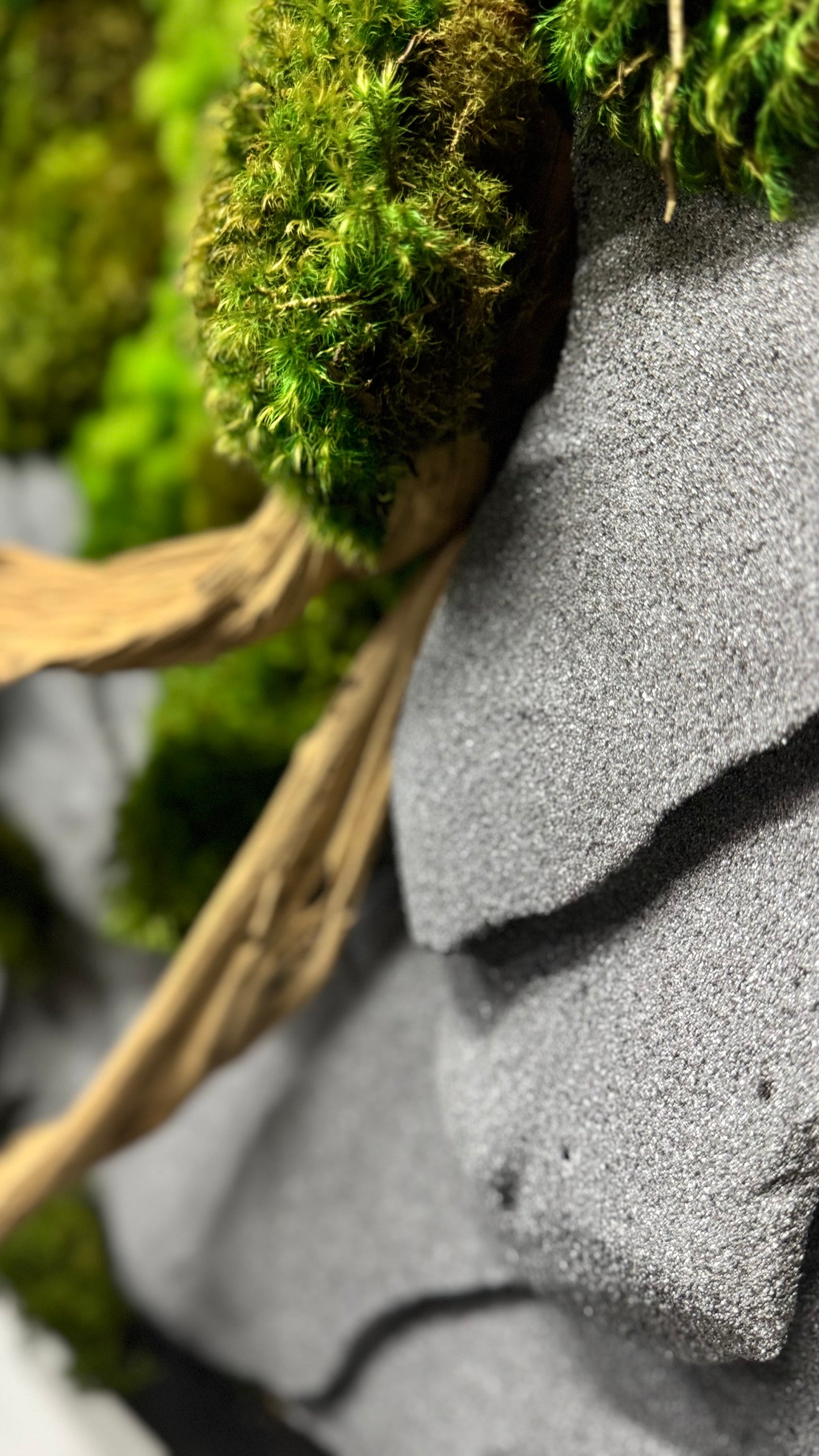 The Zen Garden