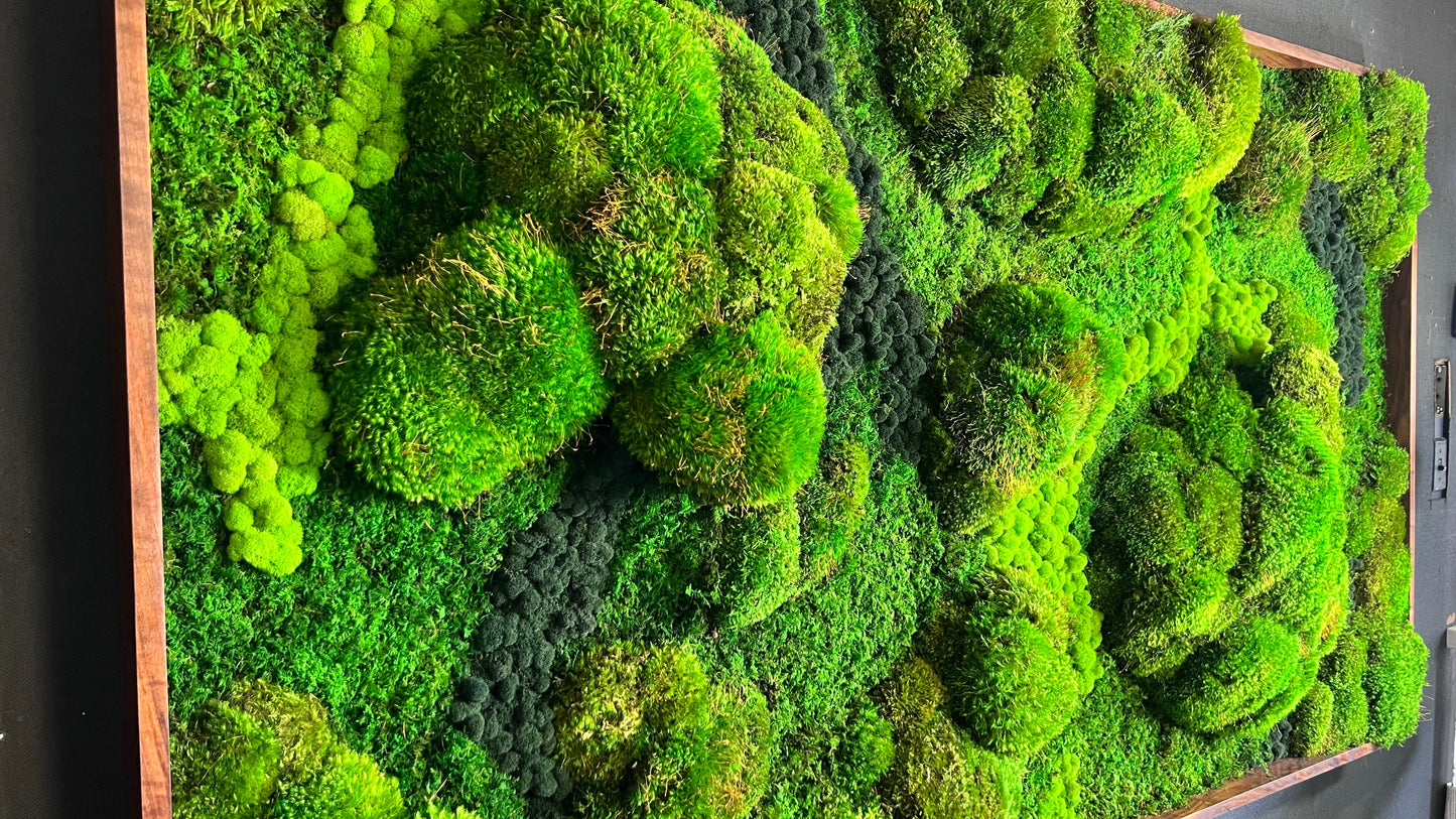 Majestic Moss Boulders