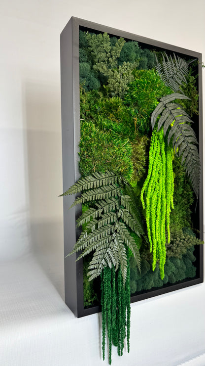 Rainforest Botanical Garden Mini