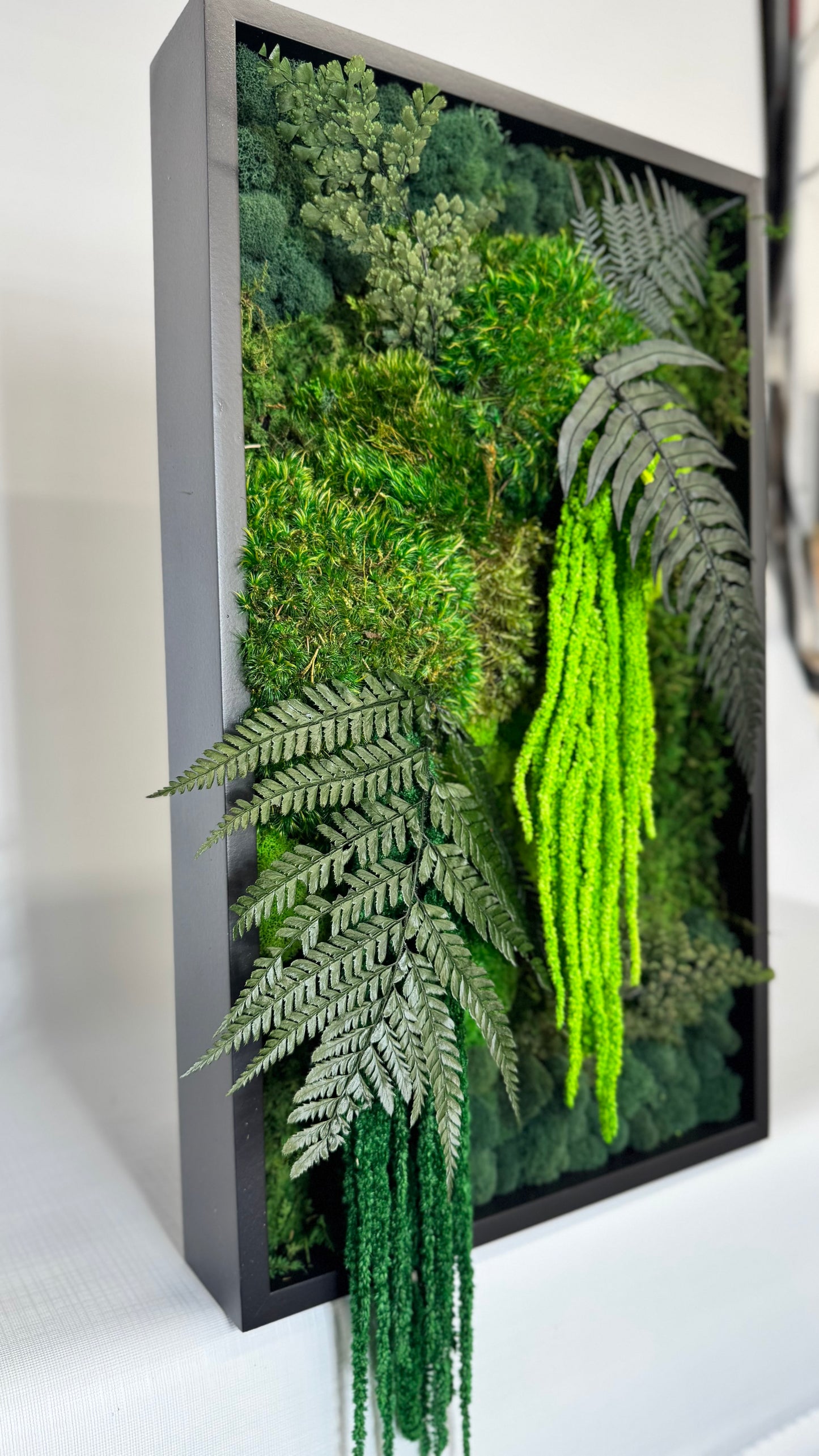 Rainforest Botanical Garden Mini