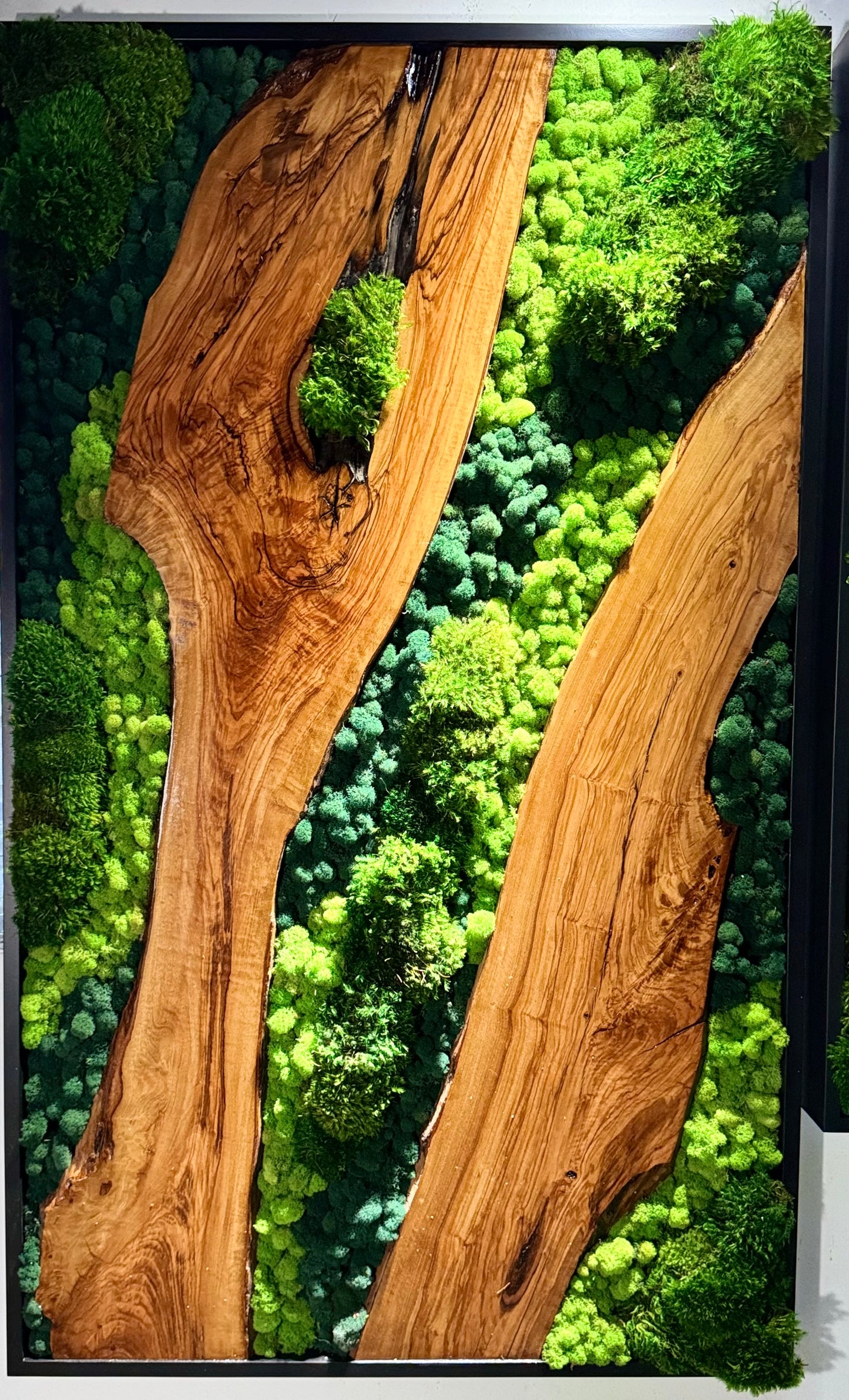 The Ember Forest