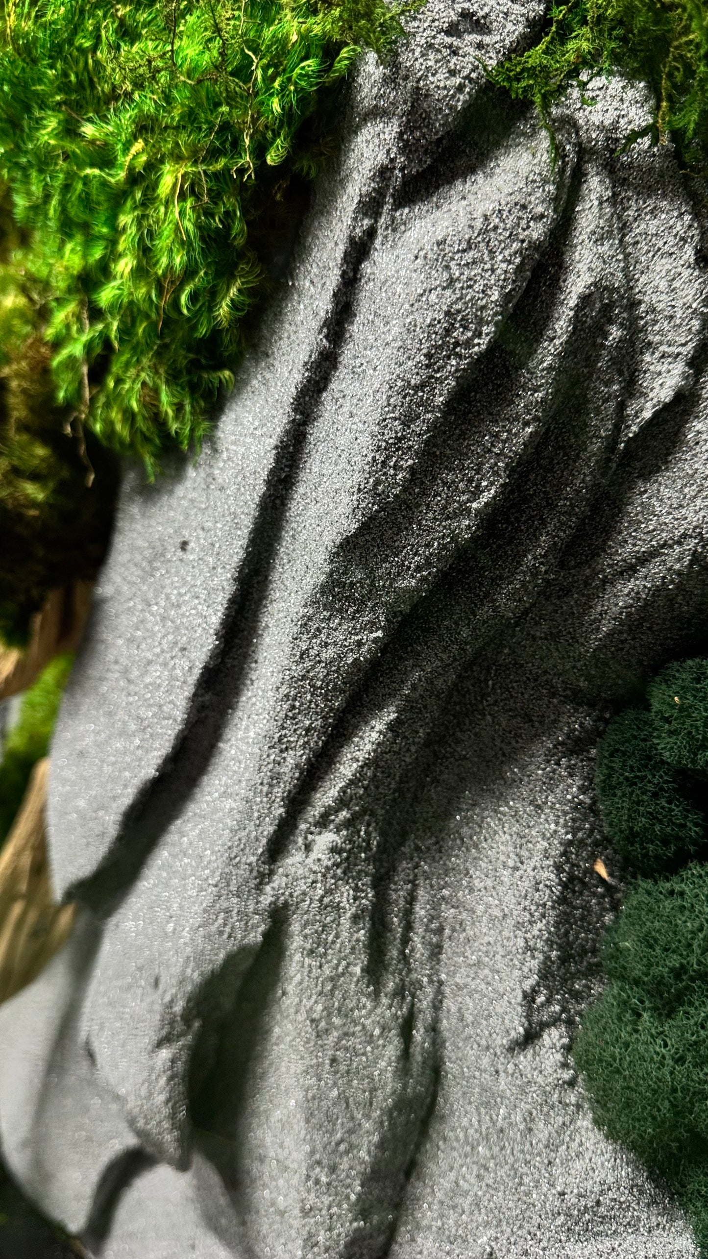 The Zen Garden