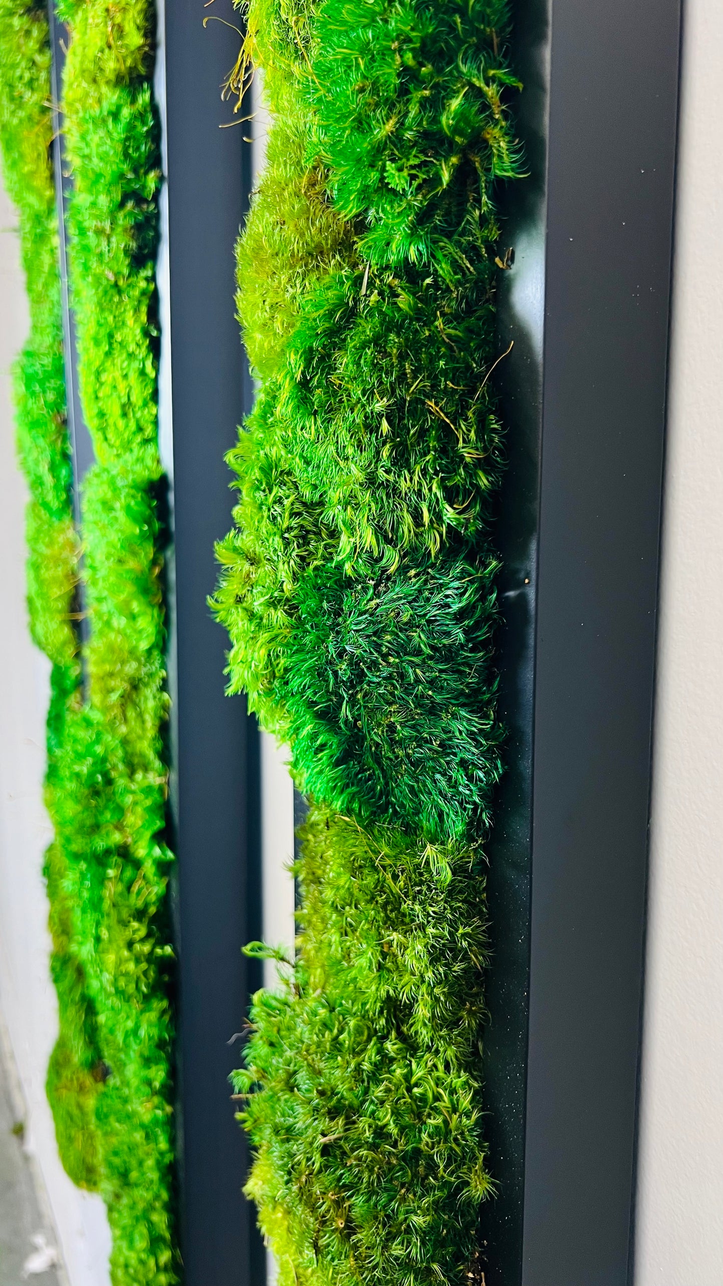 Pillow Moss Panels