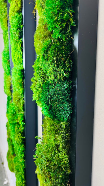 Pillow Moss Panels