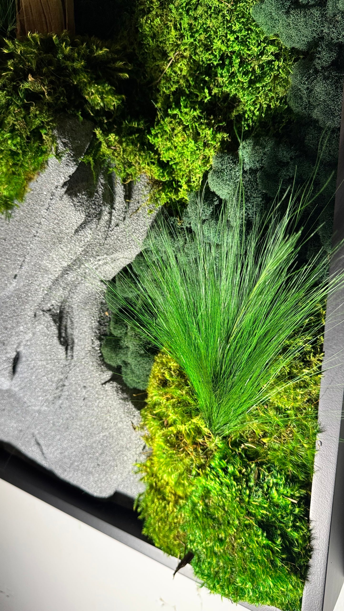 The Zen Garden