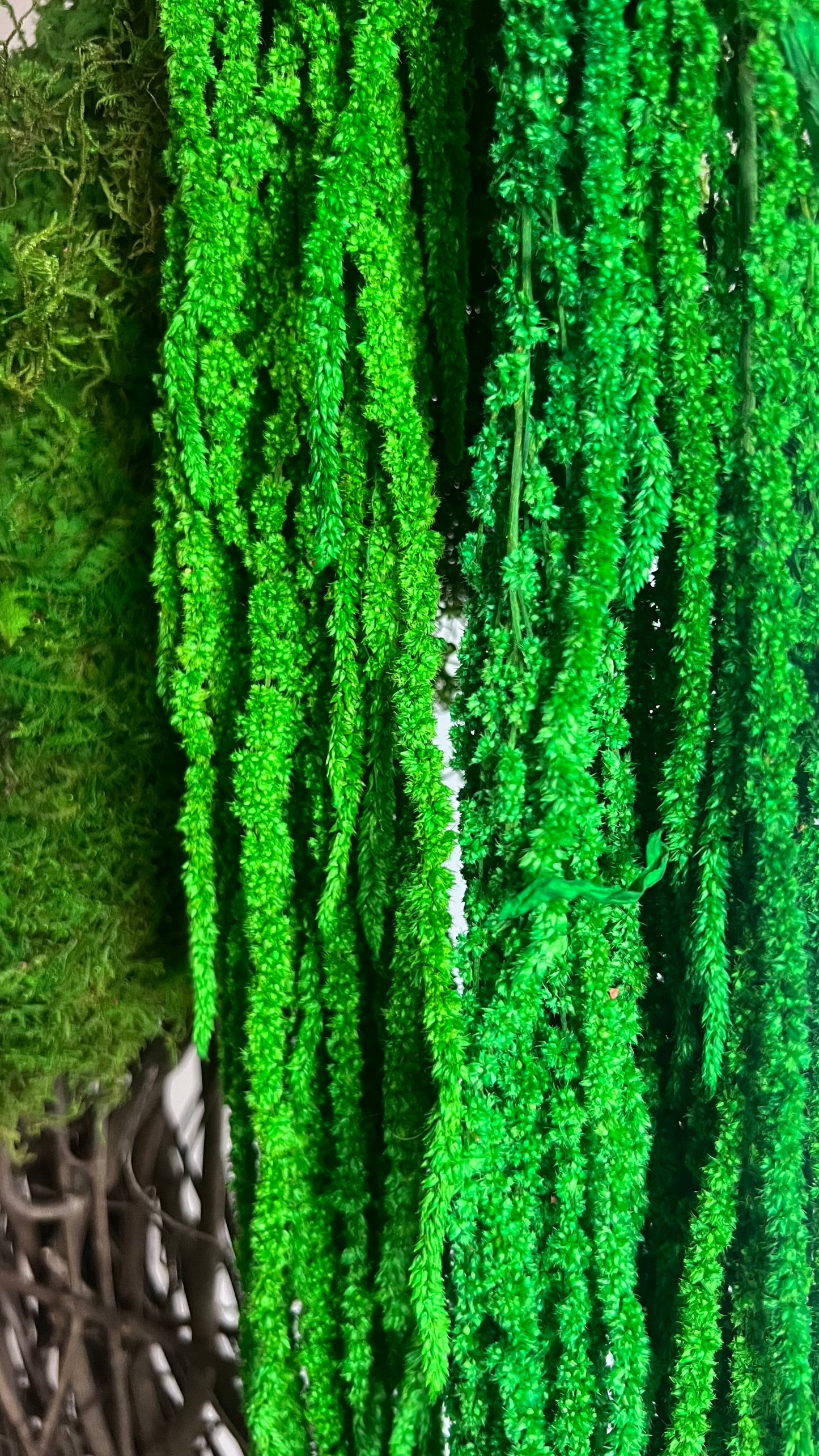 Whimsical Moss Wreath