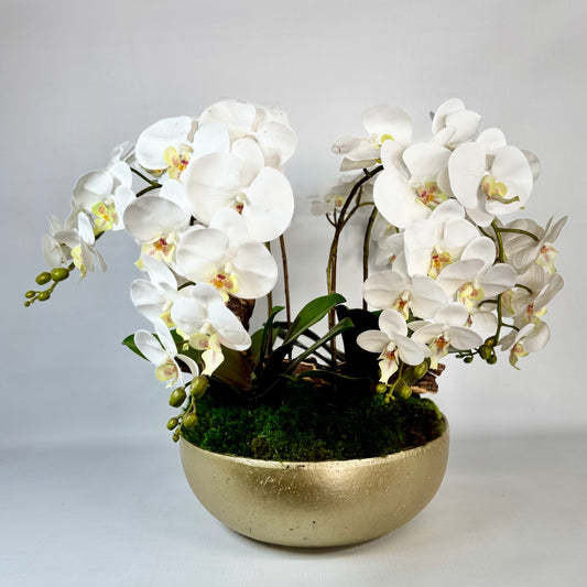 Orchid Centerpiece