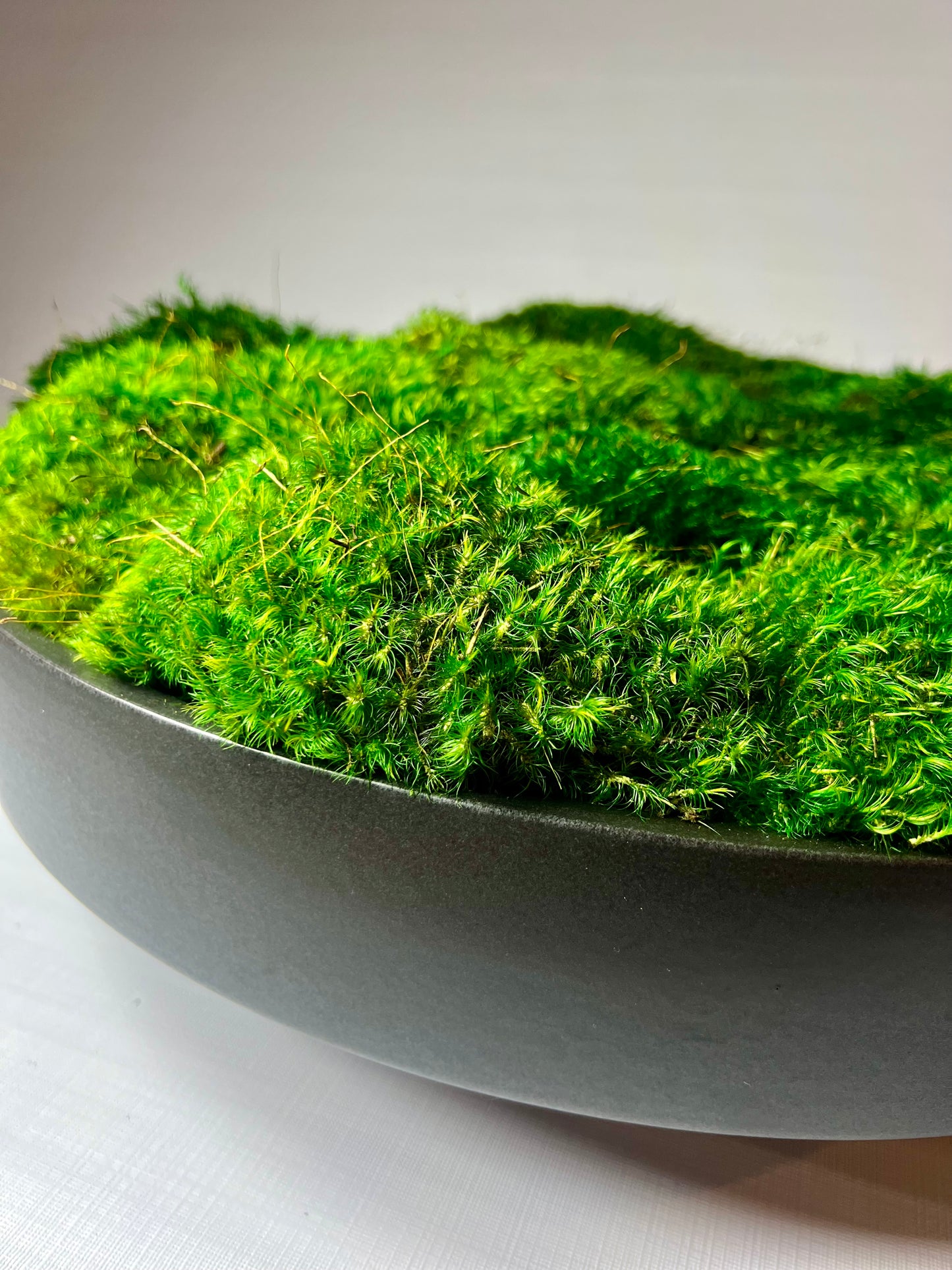 Moss Bowl Centerpiece