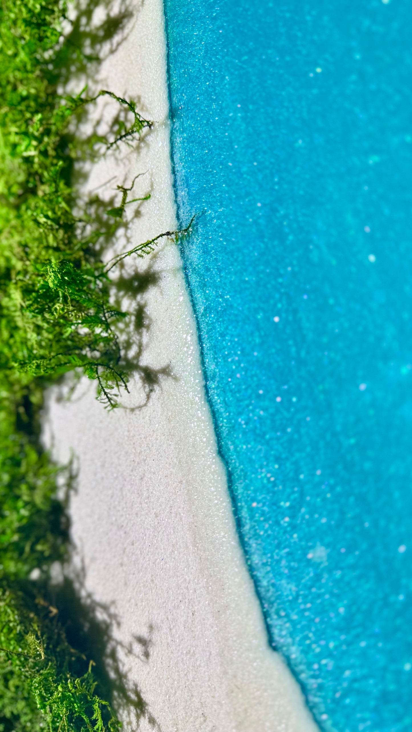The Beach Meadows
