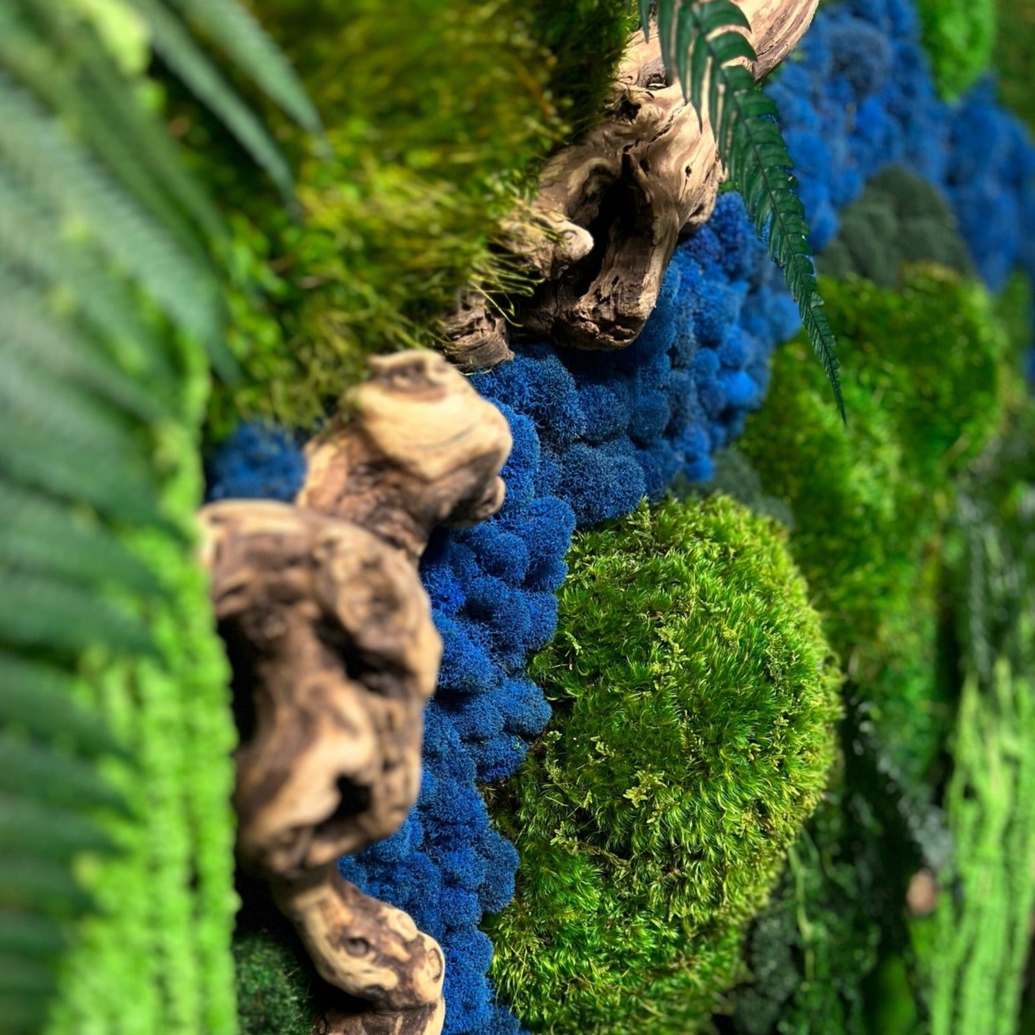 Living Moss Wall Art