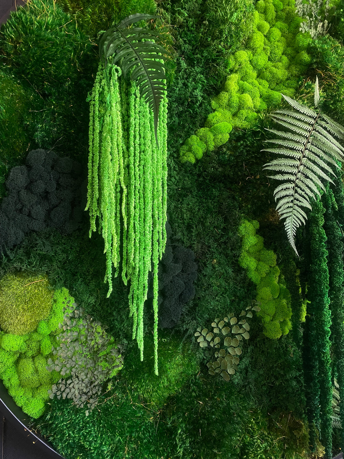 Round Botanical Garden – MossArtInstallations