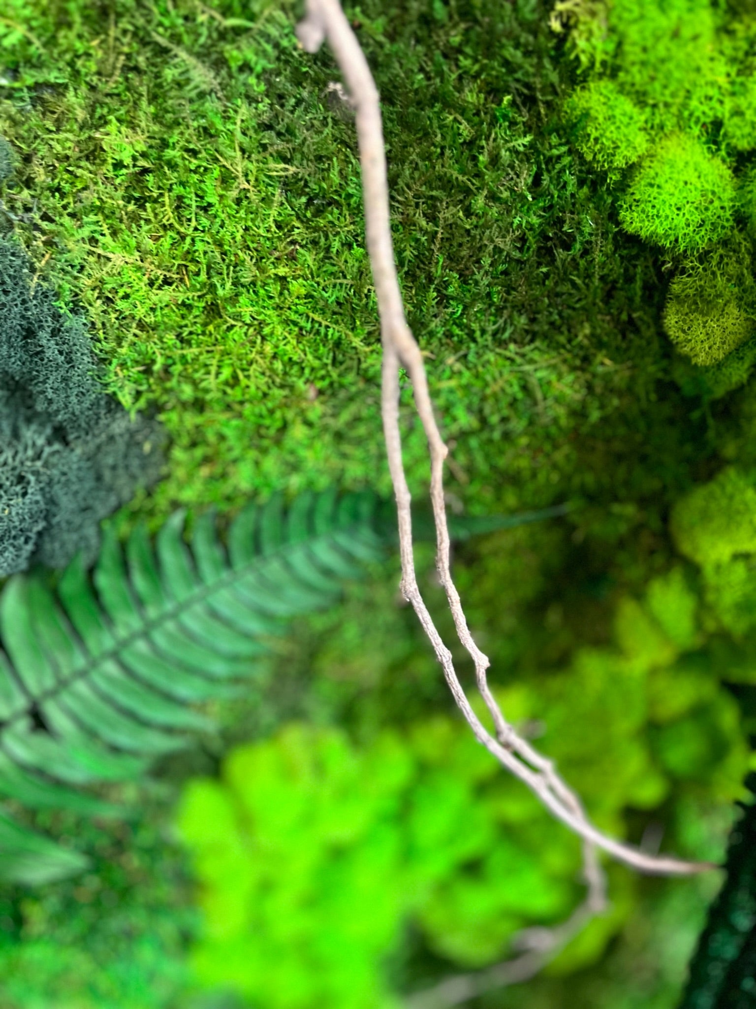 Unexplored Moss Forest | Premium Handmade Wall Sculptures 15 x 45 / 2
