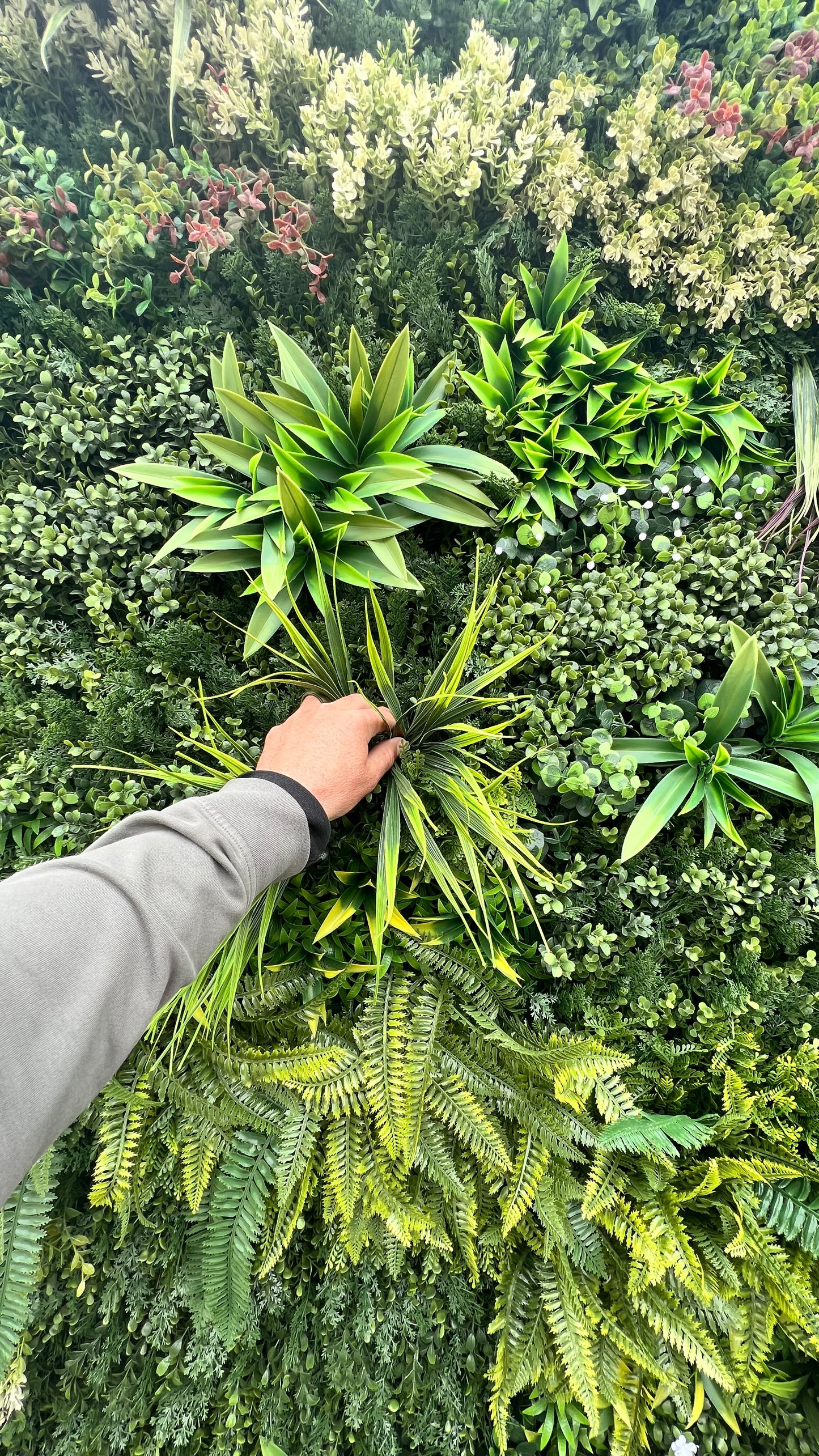 Artificial Plant wall