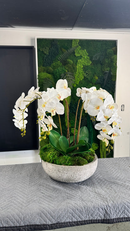 Orchid Centerpiece