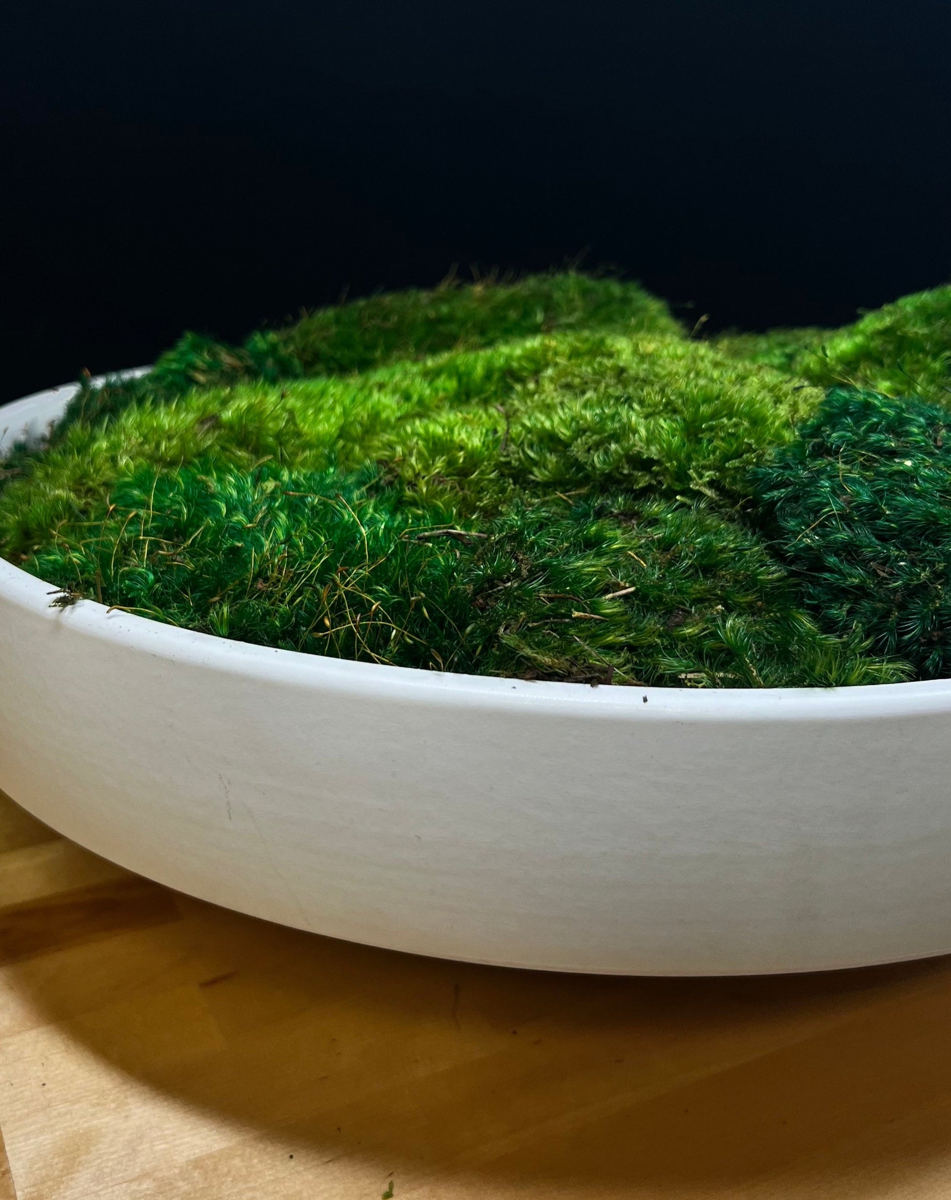 Moss Bowl Centerpiece – MossArtInstallations