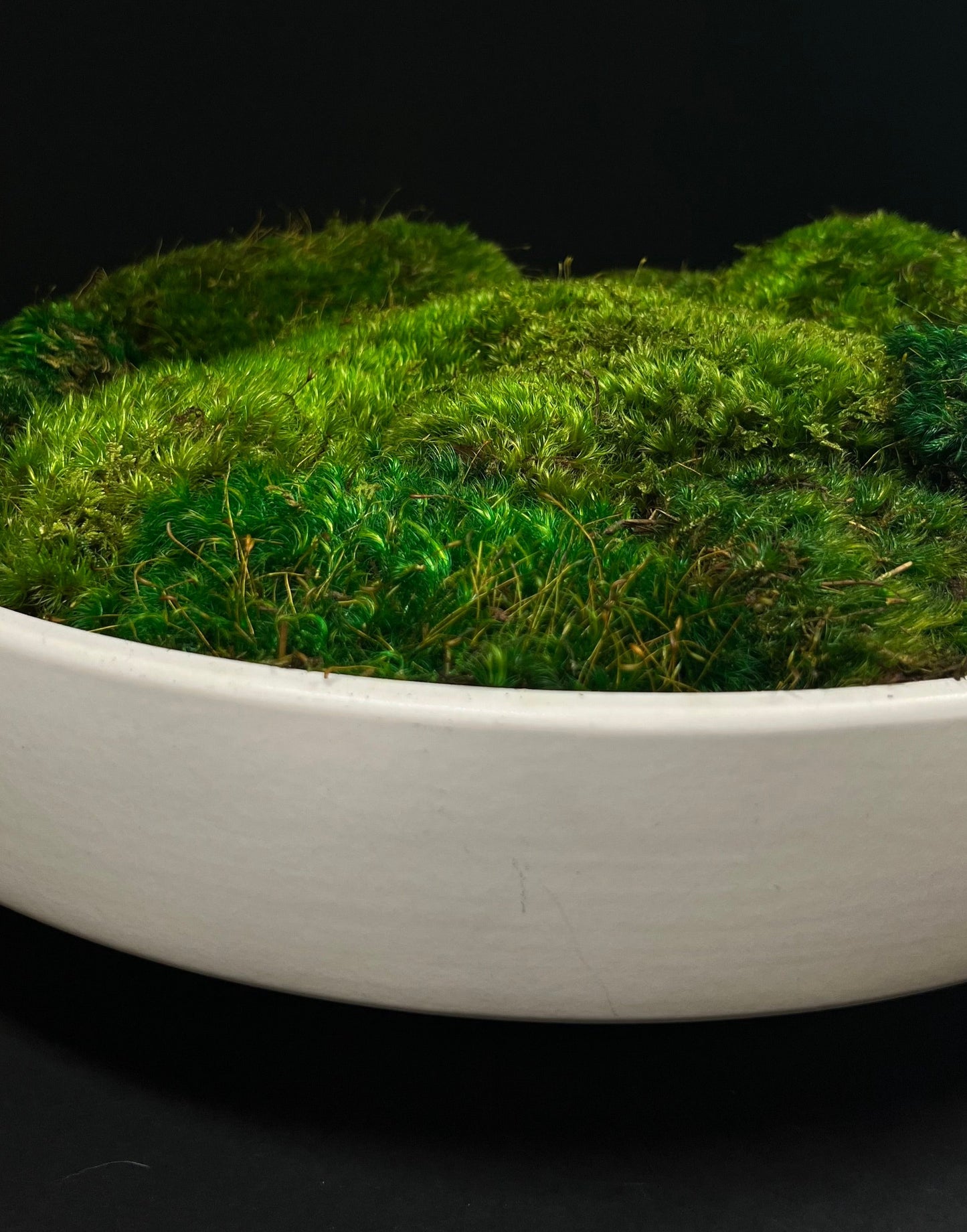 Moss Bowl Centerpiece