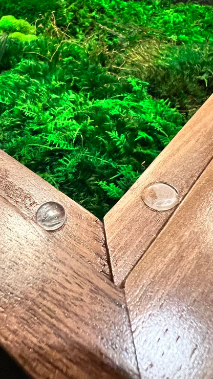 Moss Coffee Table