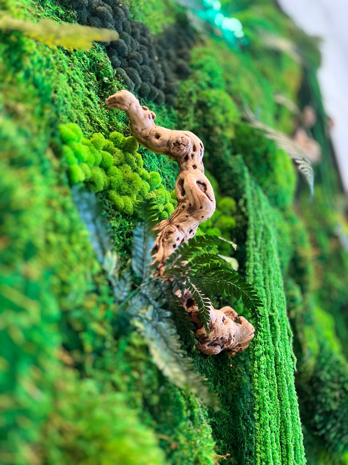 ‘The Forgotten Forest’ Moss Wall Art by Moss Art Installations