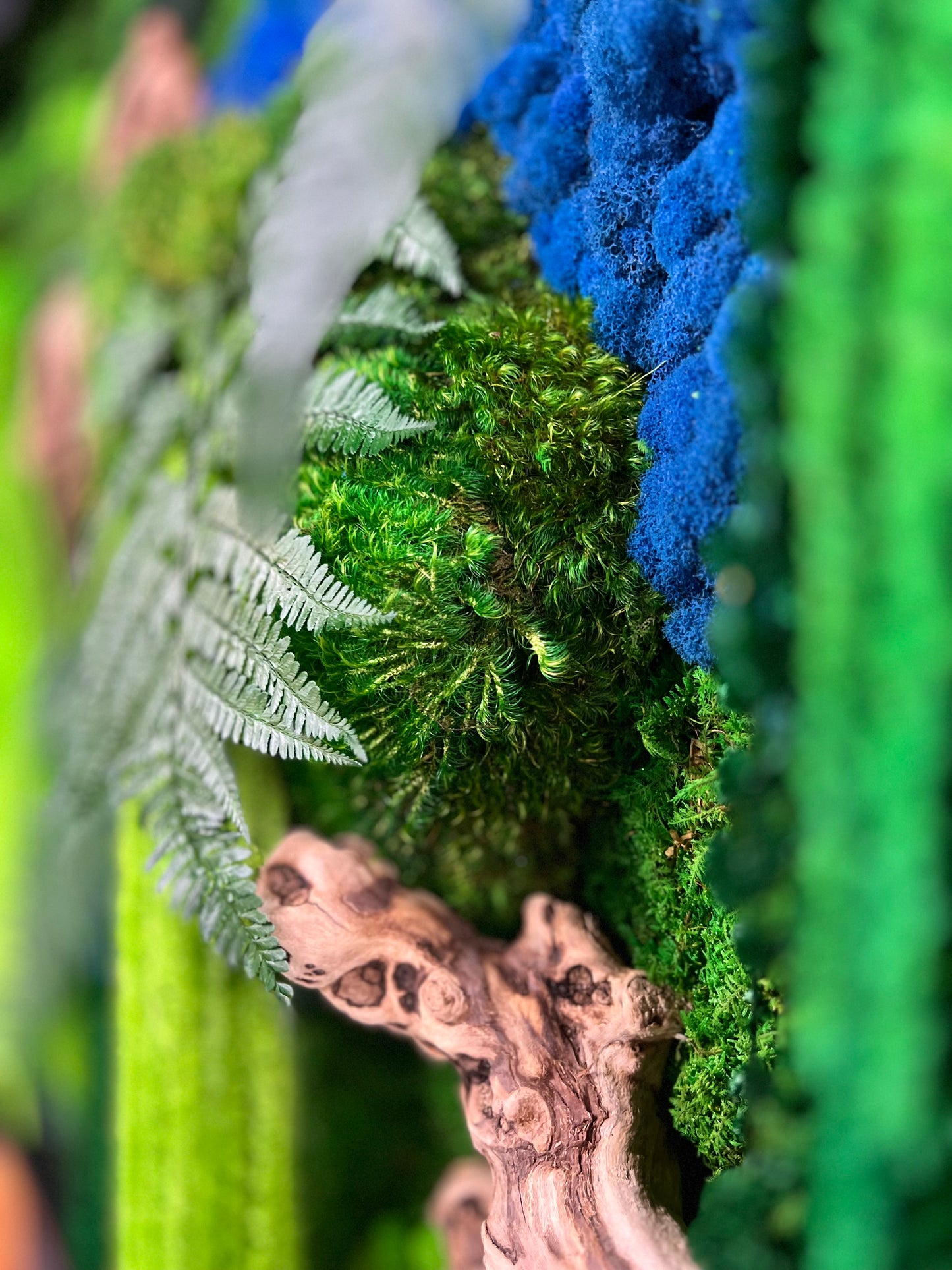 Rio Azul Moss Wall Art by Moss Art Installations