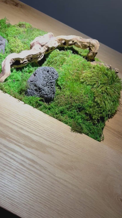 Isla Coffee Table