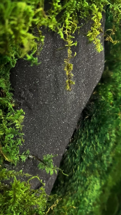The Black Onyx Forest