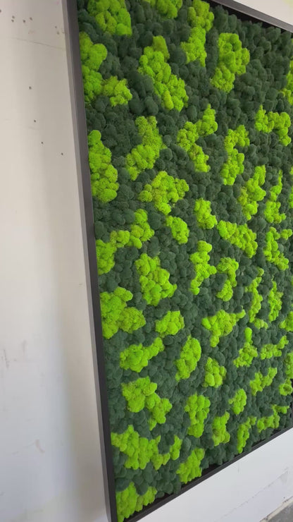 Reindeer Moss Wall