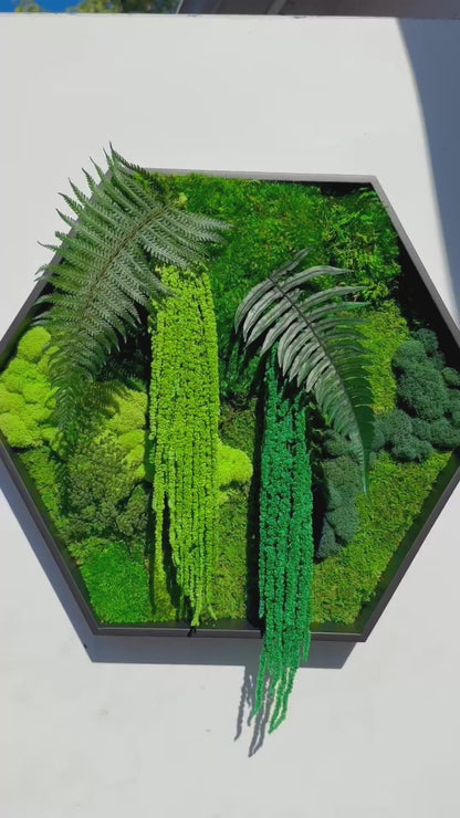 Hexagon Botanical Garden Moss Wall Art by Moss Art Installations