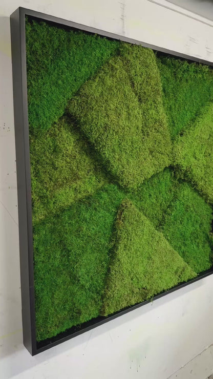 Geometric Moss Panels