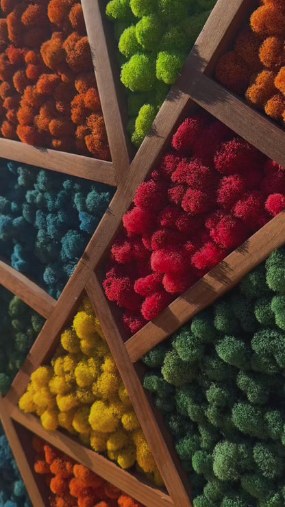 Kaleidoscope ￼
