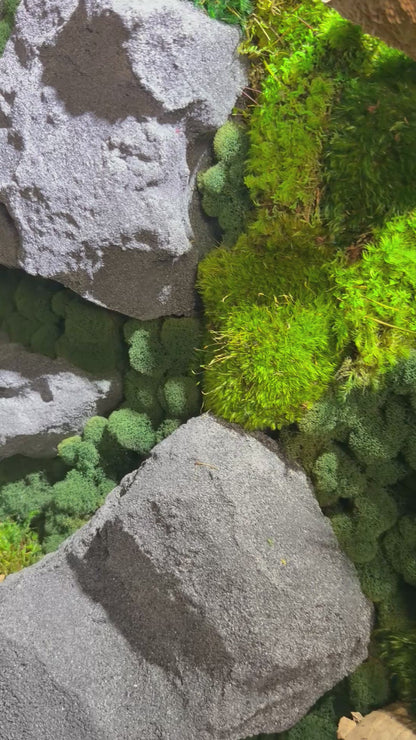 Stone River