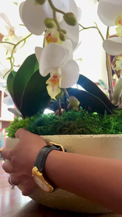 Orchid Centerpiece
