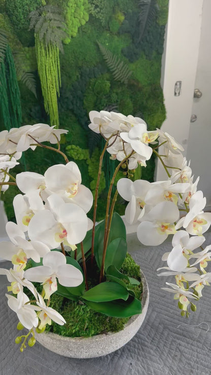 Orchid Centerpiece