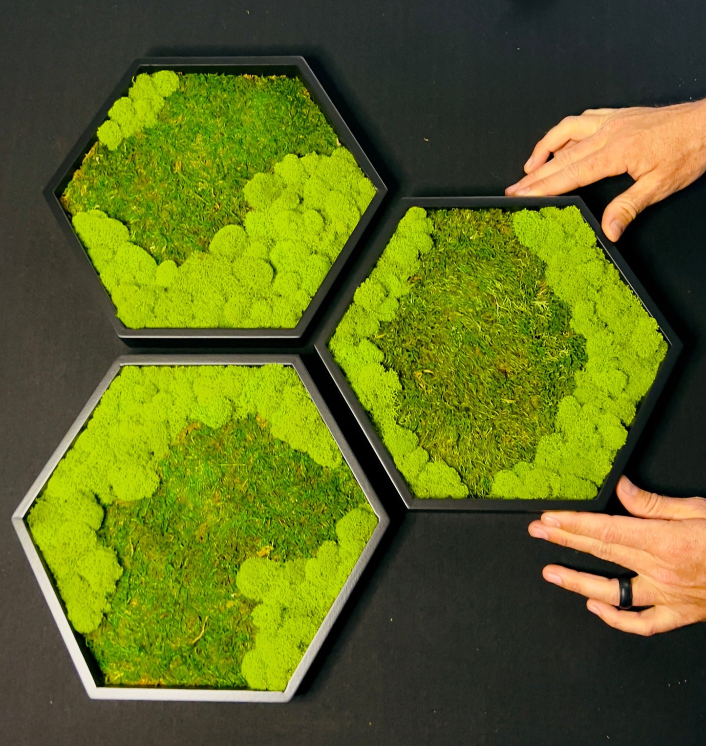 Honeycomb Hexagon Art Moss Wall Art by Moss Art Installations