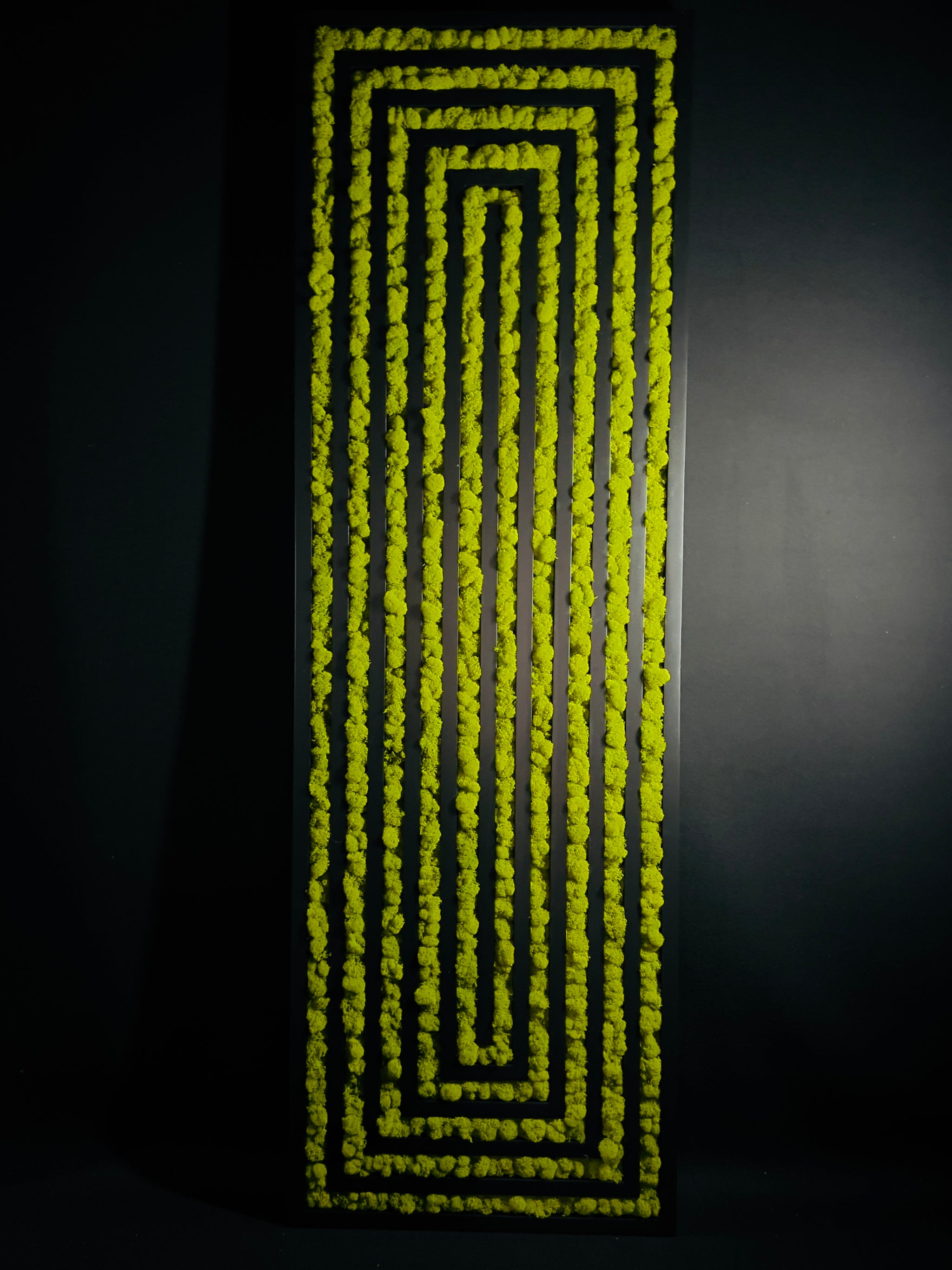 Infinity Rectangle – MossArtInstallations