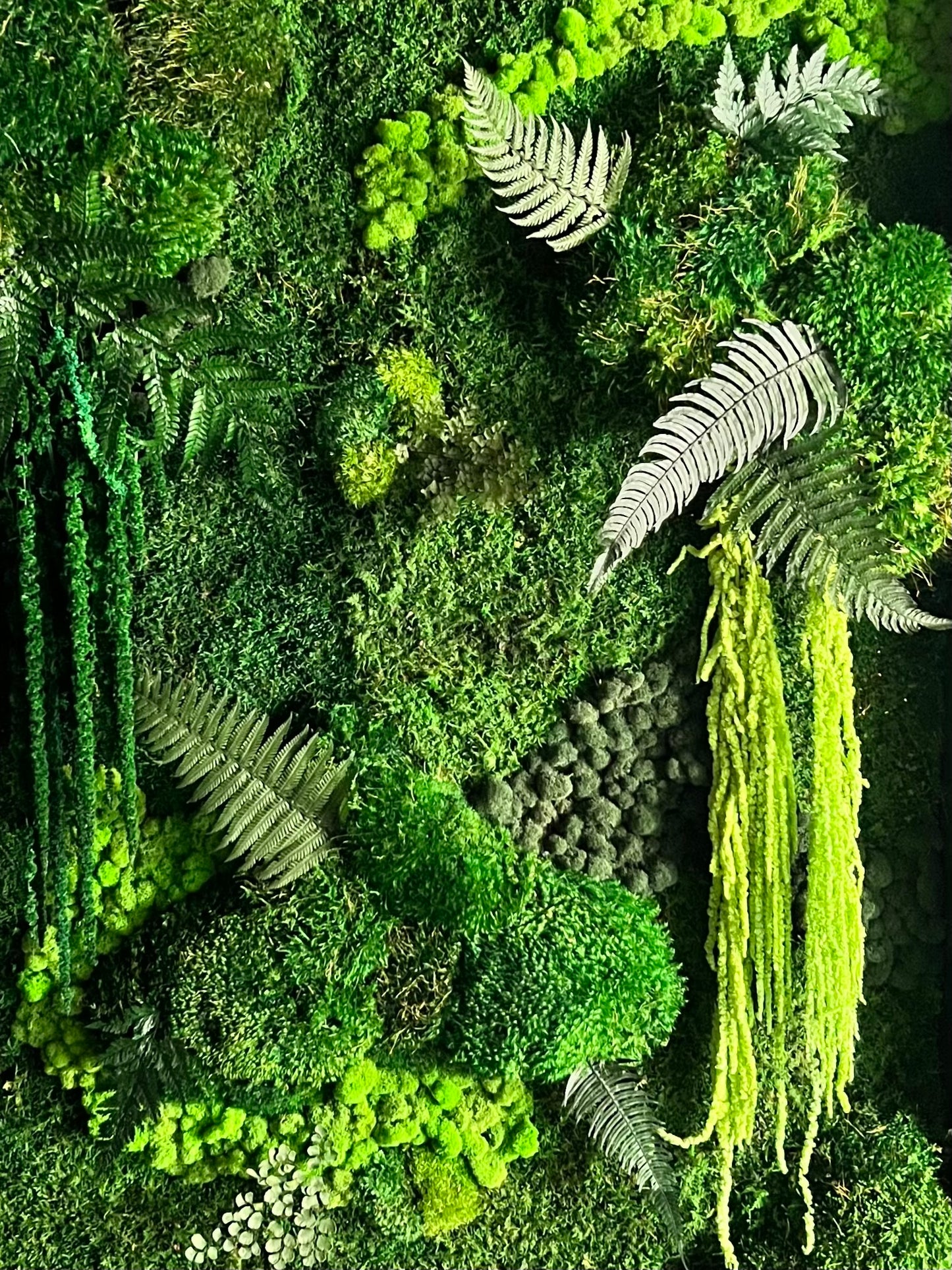 Rainforest Botanical Garden