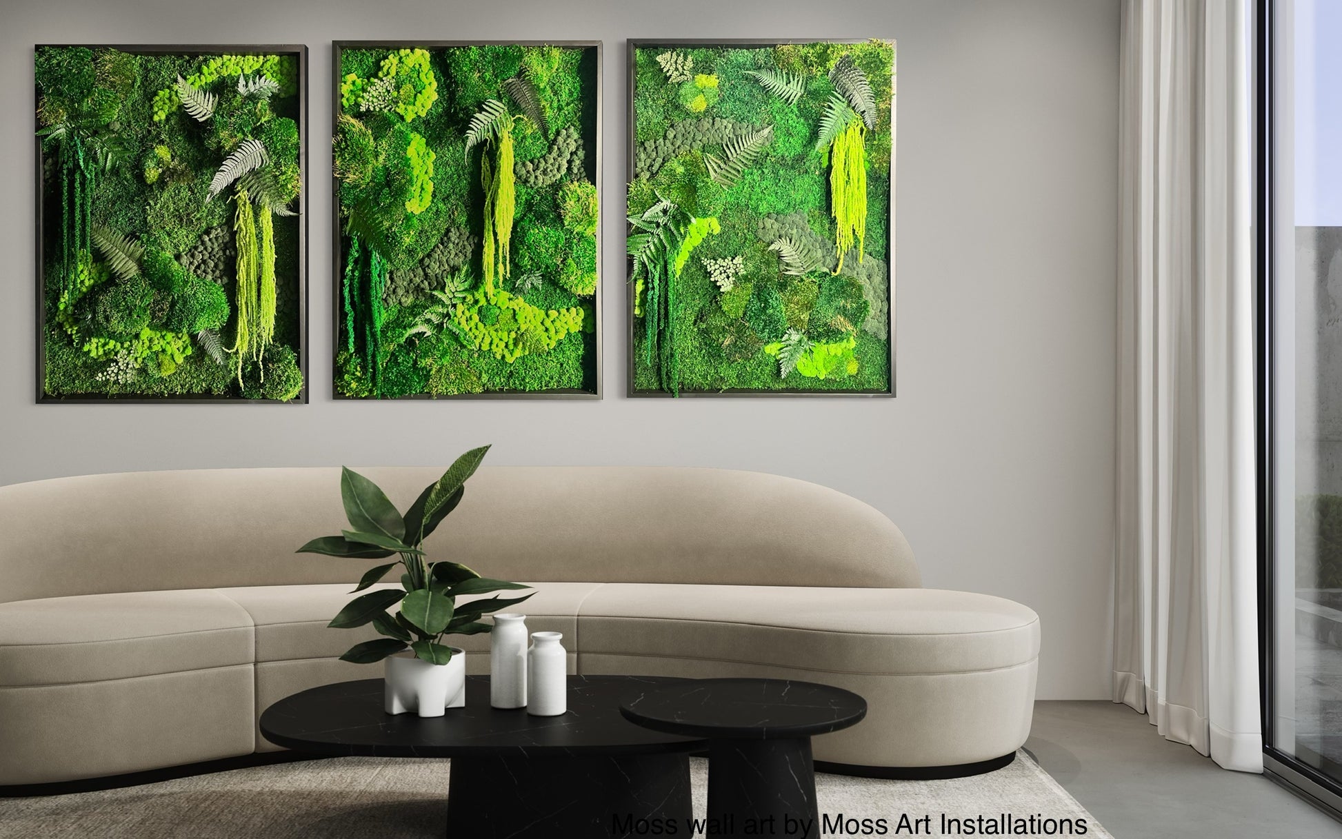 Green Forest Moss Pictures: Real Moss Art